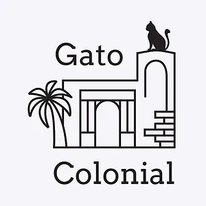 Gato Colonial Santo Domingo